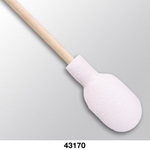43170 - CHEMTRONICS COVENTRY SEALED FOAM SWABS 6IN