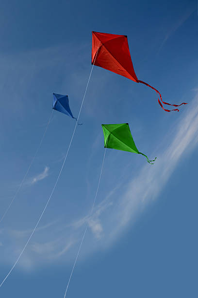 Kite in flight